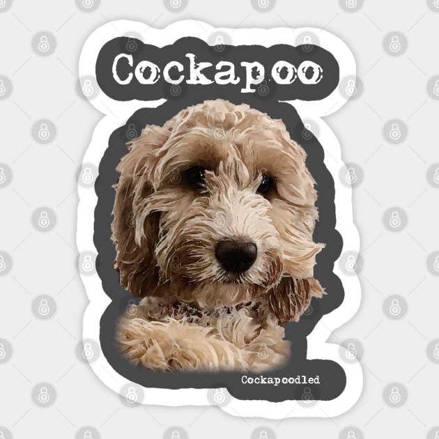 Golden Apricot Cockapoo / Spoodle and Doodle Dog Sticker by WoofnDoodle 